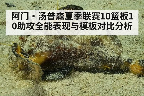 阿门·汤普森夏季联赛10篮板10助攻全能表现与模板对比分析